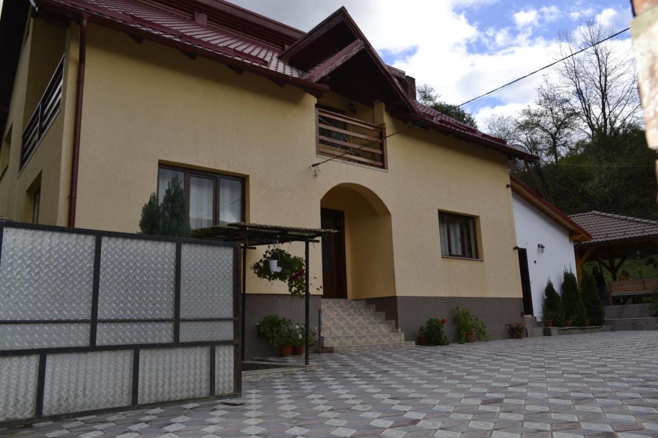 Pensiunea Malinul Birsana Bagian luar foto