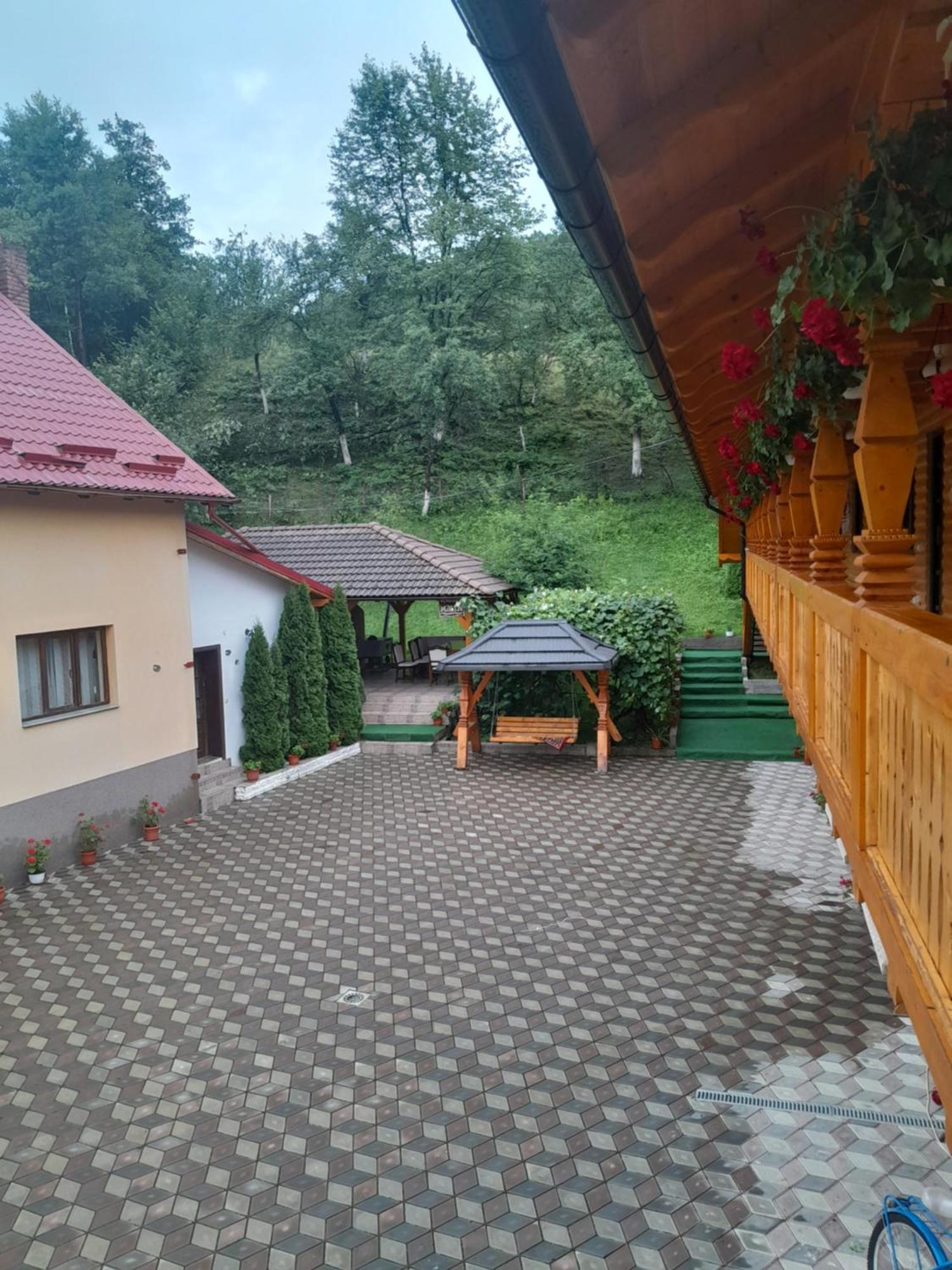 Pensiunea Malinul Birsana Bagian luar foto