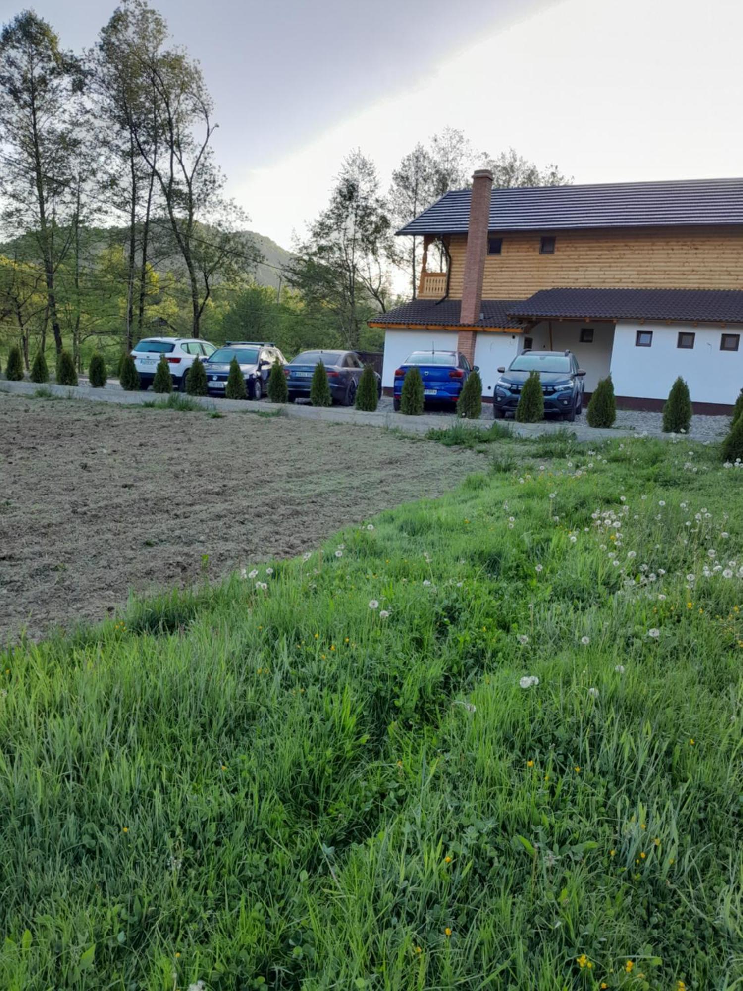 Pensiunea Malinul Birsana Bagian luar foto