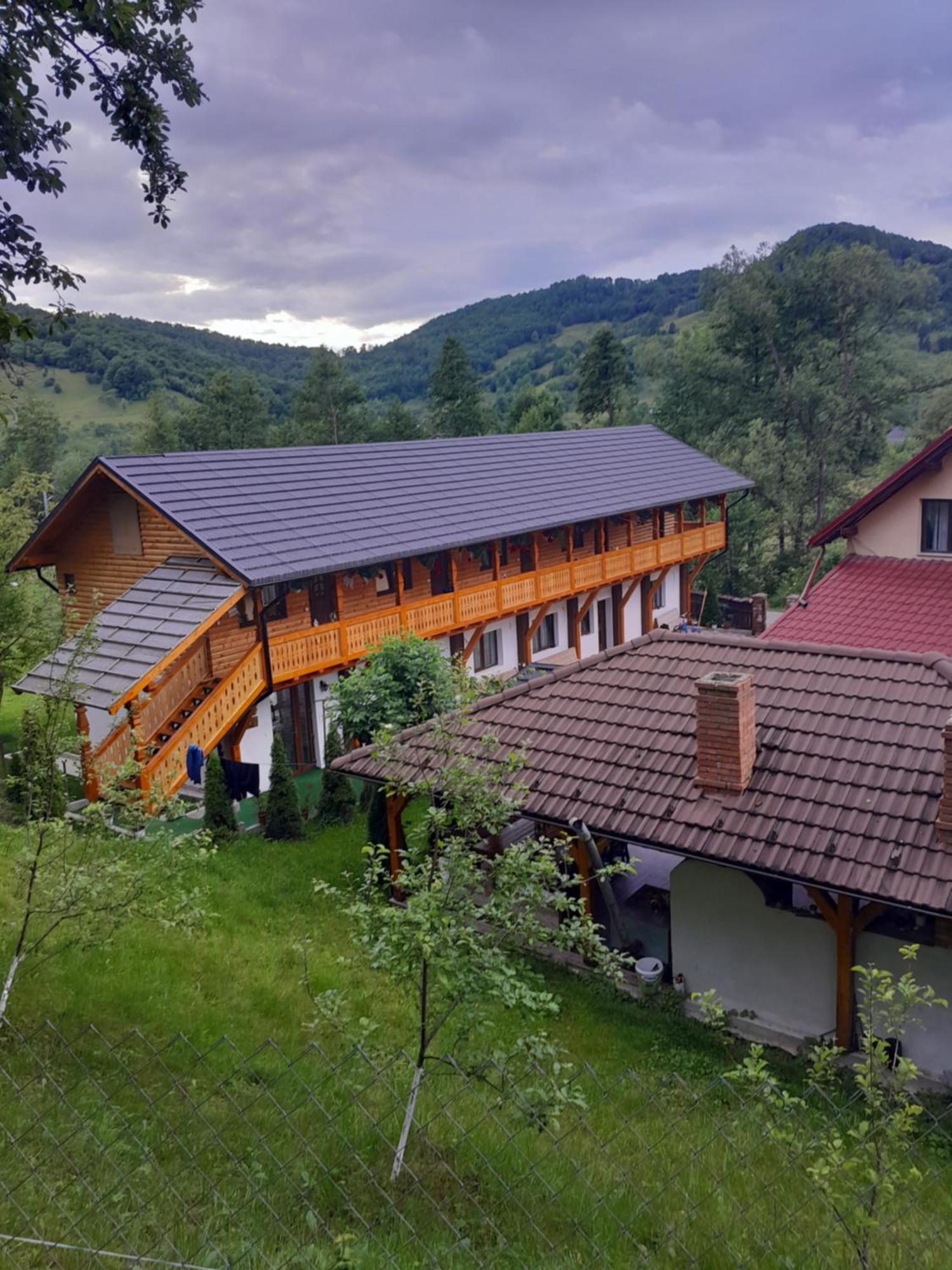 Pensiunea Malinul Birsana Bagian luar foto