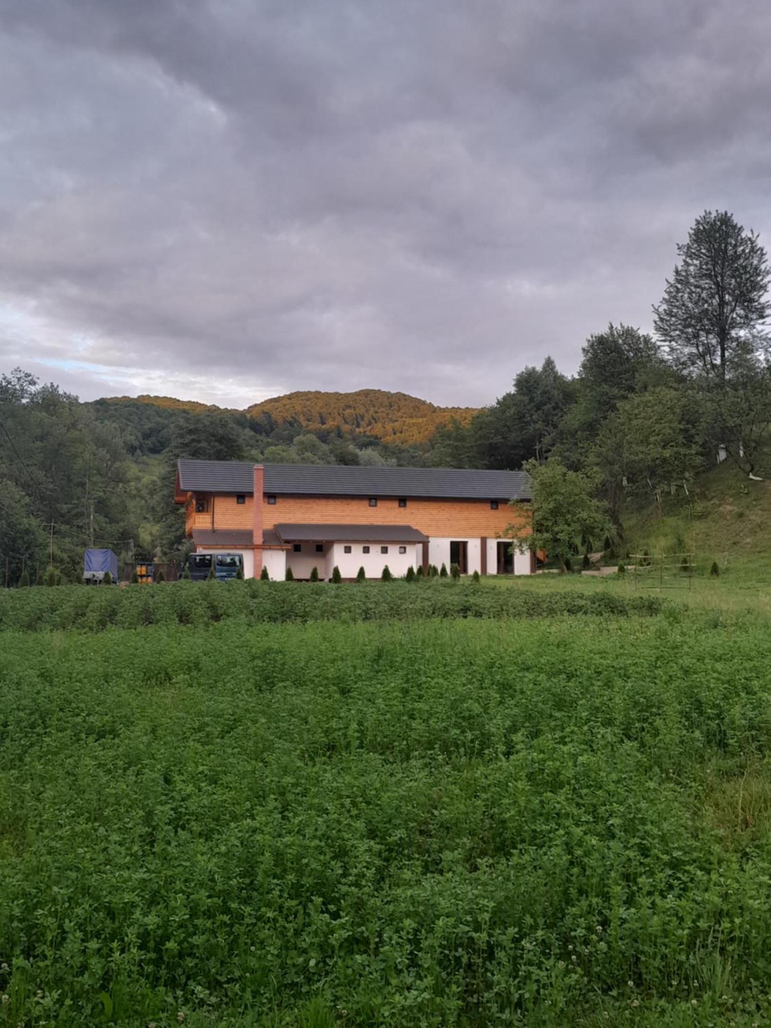Pensiunea Malinul Birsana Bagian luar foto