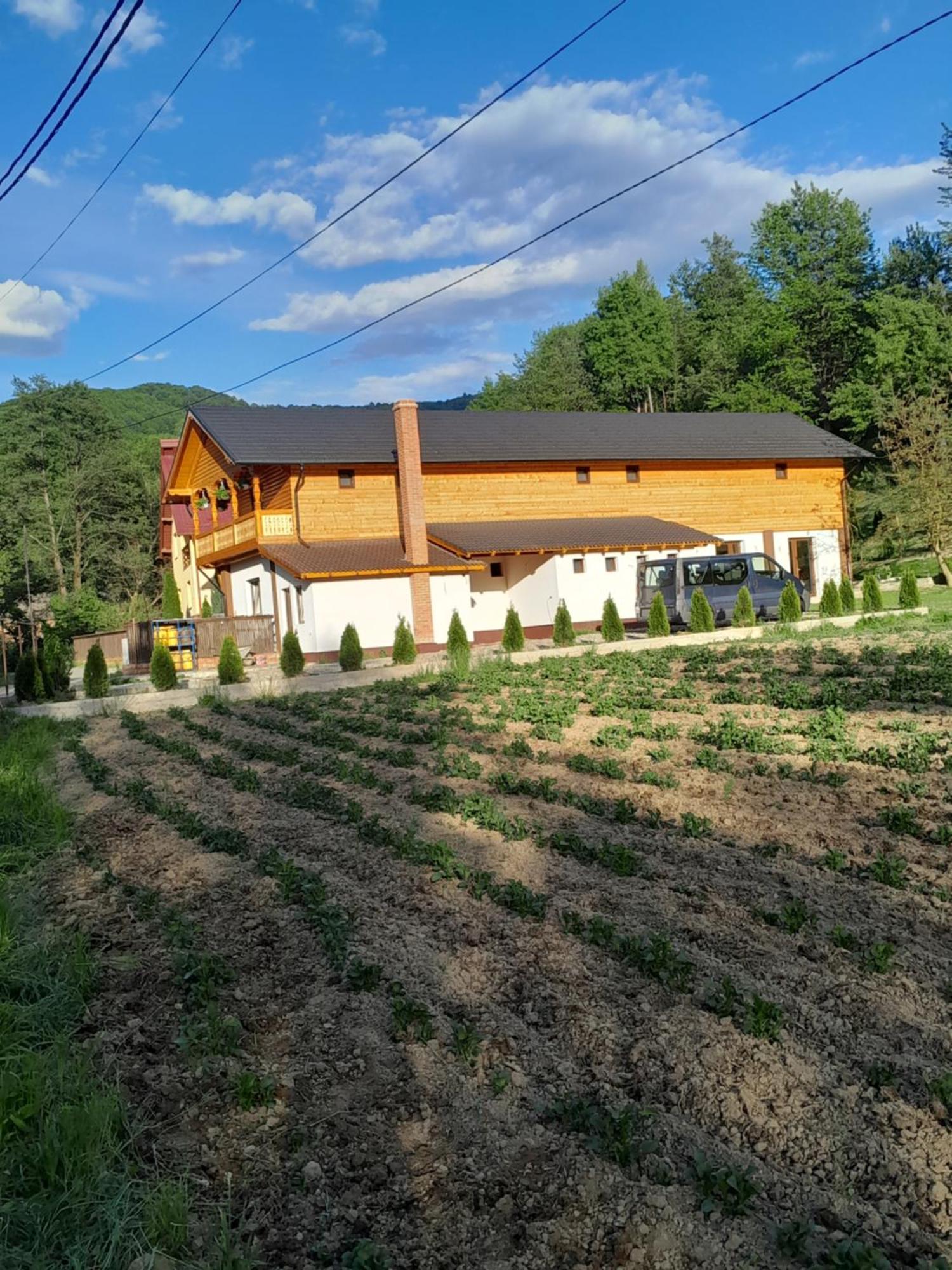Pensiunea Malinul Birsana Bagian luar foto